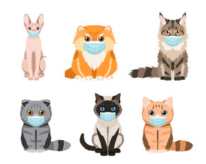 Fototapeta premium Set of cats wearing protective face masks. Collection of vector illustrations isolated on white background. Flat design
