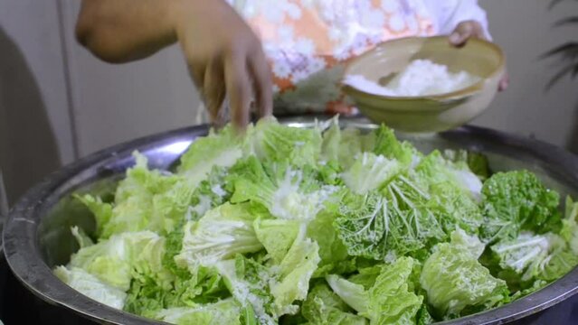 Napa cabbage sprinkled with salt in preparation to make Kimchi, a Korean dish of spicy pickled cabbage
