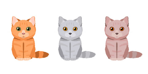 Three British cats in different colors: red, gray and lilac. Vector cats collection for your design isolated on white