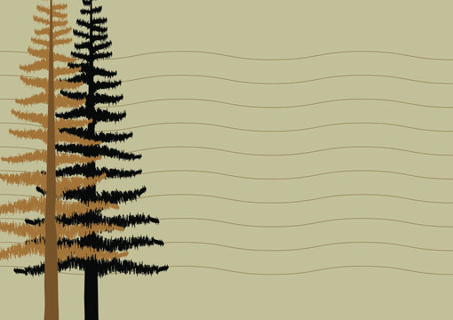 Notebook pattern with pine trees and lines. Background with pine trees.