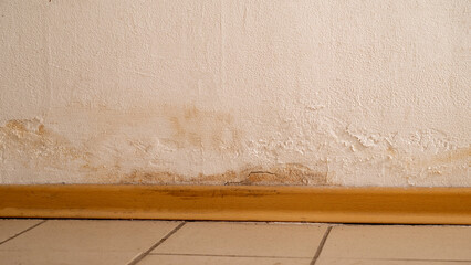 Flooding rainwater or floor heating systems, causing damage, peeling paint and mildew