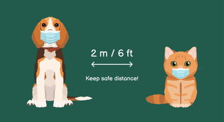 Keep safe distance 2 m 6 ft. Coronavirus infection spreading prevention information sign with cute Beagle and British cat wearing medical face masks