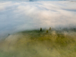 Obraz na płótnie Canvas Green mountains of the Ukrainian Carpathians in the morning mist. Aerial drone view.
