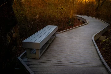 Foto auf Acrylglas Abstieg zum Strand Curved wooden boardwalk and rectangular bench over the swamp marsh in the forest on Cape Cod, Massachusetts.  © Naya Na