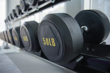 Rubber Dumbbells on shelf in modern fitness gym. Sport and healthcare concept.