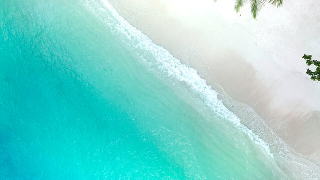 The banner of a tropical  summer white sand beach with a water wave background -Summer season image