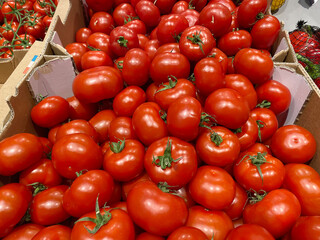 big choice of fresh fruits and vegetables on market counter