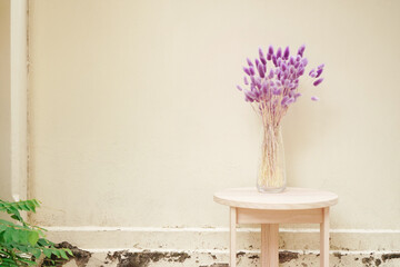 violet dried flower of rabbit tail grass or bunny tail grass in glass vase on wooden table with old and stained wall in vintage style with copy space 