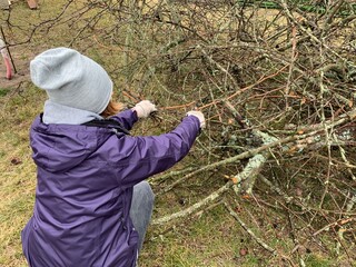 Woman cutting dry tree branches in the garden
