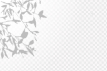 Realistic shadow tropical leaves and branches on transparent checkered background. The effect of overlaying shadows. Natural light layout.