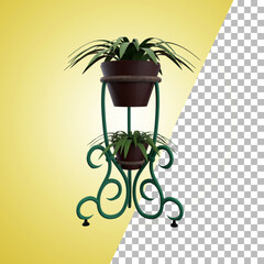 Indoor plant for decoration and asset design.