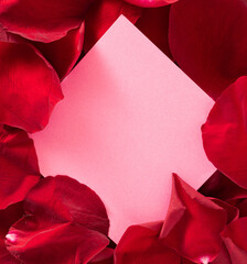 close-up background of red rose petals