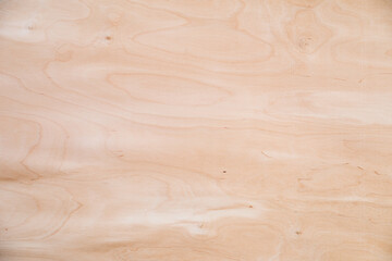 Close-up texture of natural birch veneer.