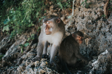Bali, Indonezja © Wodzownik