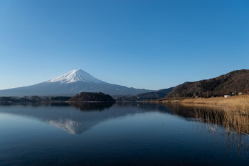 Naklejka na ściany i meble 湖畔から見た富士山