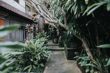 Bali, Indonezja © Wodzownik