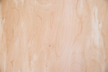 Close-up texture of natural birch veneer.