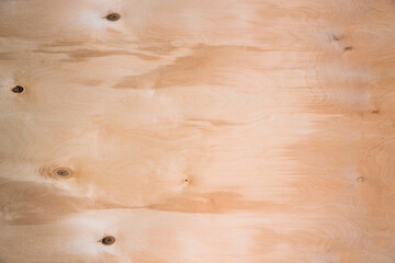 Close-up texture of natural birch veneer.
