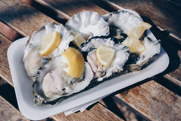 Oyster © Wodzownik