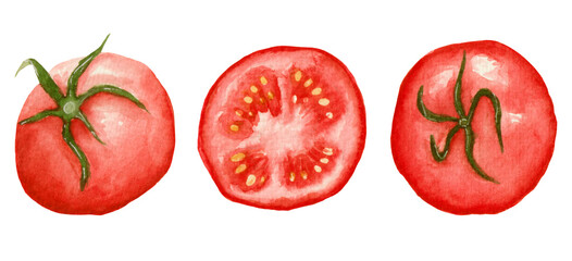 Watercolor collection, red tomato in different position and slice of tomato, elements isolated on white background.