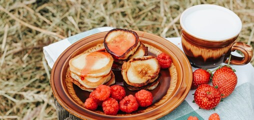 Summer picnic with pancakes, jam, berries and milk in nature. Sweet summertime, vacation, outdoor recreation, countryside concept. Banner.	