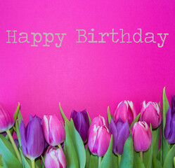 tulips on pink ground with happy birthday text