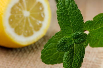 Fresh sprig of fragrant mint