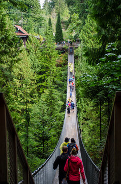 Capilano suspension bridge on a crowded day in Vancouver, BC, Canada. Suspension bridge in between lush green trees with many tourists walking and taking pictures in it.