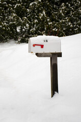 White roadside mailbox with red flag on a wooden post on a snowy day. An isolated mailbox covered in snow with snow and green trees at the background.
