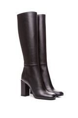 woman shoes isolated on white