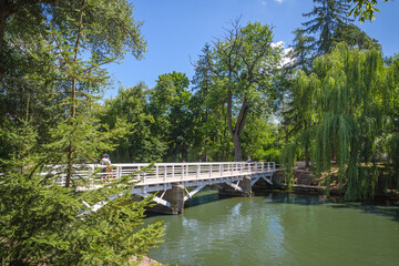 Bridge in the park