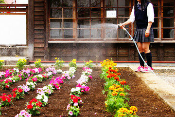 花壇の水やりをする女子高生