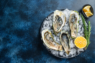 Seafood appetizer - Opened Fresh oysters with lemon and ice. Blue background. Top view. Copy space