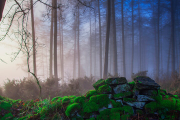 North York Moors National Park