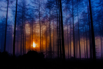 North York Moors National Park