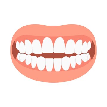 mouth open bite bad teeth deep gum Joint pain jaw surgery corrective bone oral smile Lower Weak Chin health extra Spacing Anterior fixed