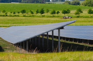 Rows of solar panels and green nature