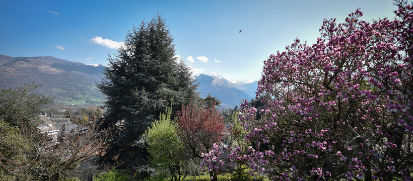 Vall&eacute;e des Pyr&eacute;n&eacute;es au printemps, Argel&egrave;s Gazost, arbres en fleurs, aigle, montagne