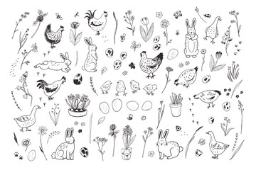 Easter rabbits, eggs, chickens, chicks, flowers, geese illustrations line set