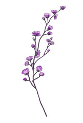 Naklejka na ściany i meble Branch leaves eco with lilac flowers in watercolor style on white background. Leaves on a branch to decorate the design. High quality illustration