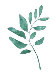 Branch leaves eco green in watercolor style on white background. Leaves on a branch to decorate the design. High quality illustration