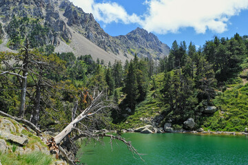 Fototapeta na wymiar View of a lake in the Pyrenees mountains