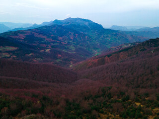 Fototapeta premium Aerial photography of a forest in early spring (Asturias - SPAIN)