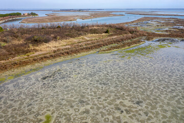 Shallow shore of Torcello island with mudflats and salt marsh. Venetian lagoon, Italy