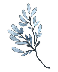 Branch leaves eco blue in watercolor style on white background. Leaves on a branch to decorate the design. High quality illustration