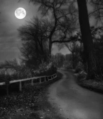 Poster Moon road. Moon and road in Danish landscape at night - Jutland.. © SteenoWac/peopleimages.com