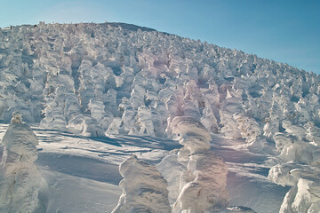 蔵王の樹氷（山形県）Snow monster - obrazy, fototapety, plakaty
