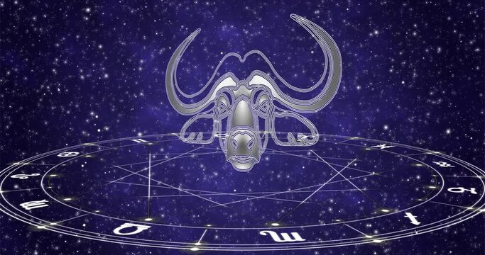 The signs of the zodiac horoscope wheel on dark star sky background animated loop 4k footage