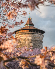 Frühling in Nürnberg