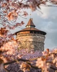 Frühling in Nürnberg © Thomas
